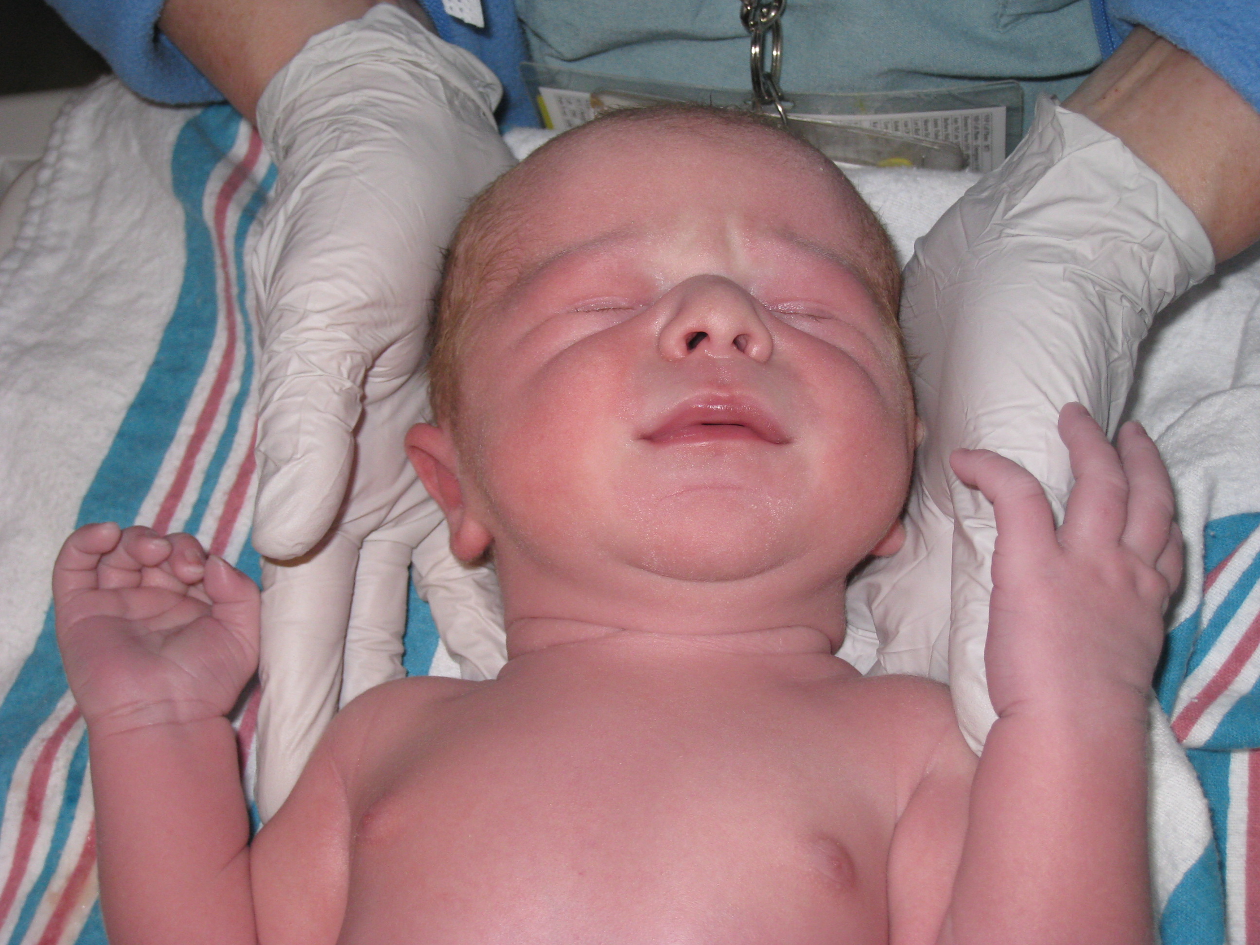 Owen Day 1