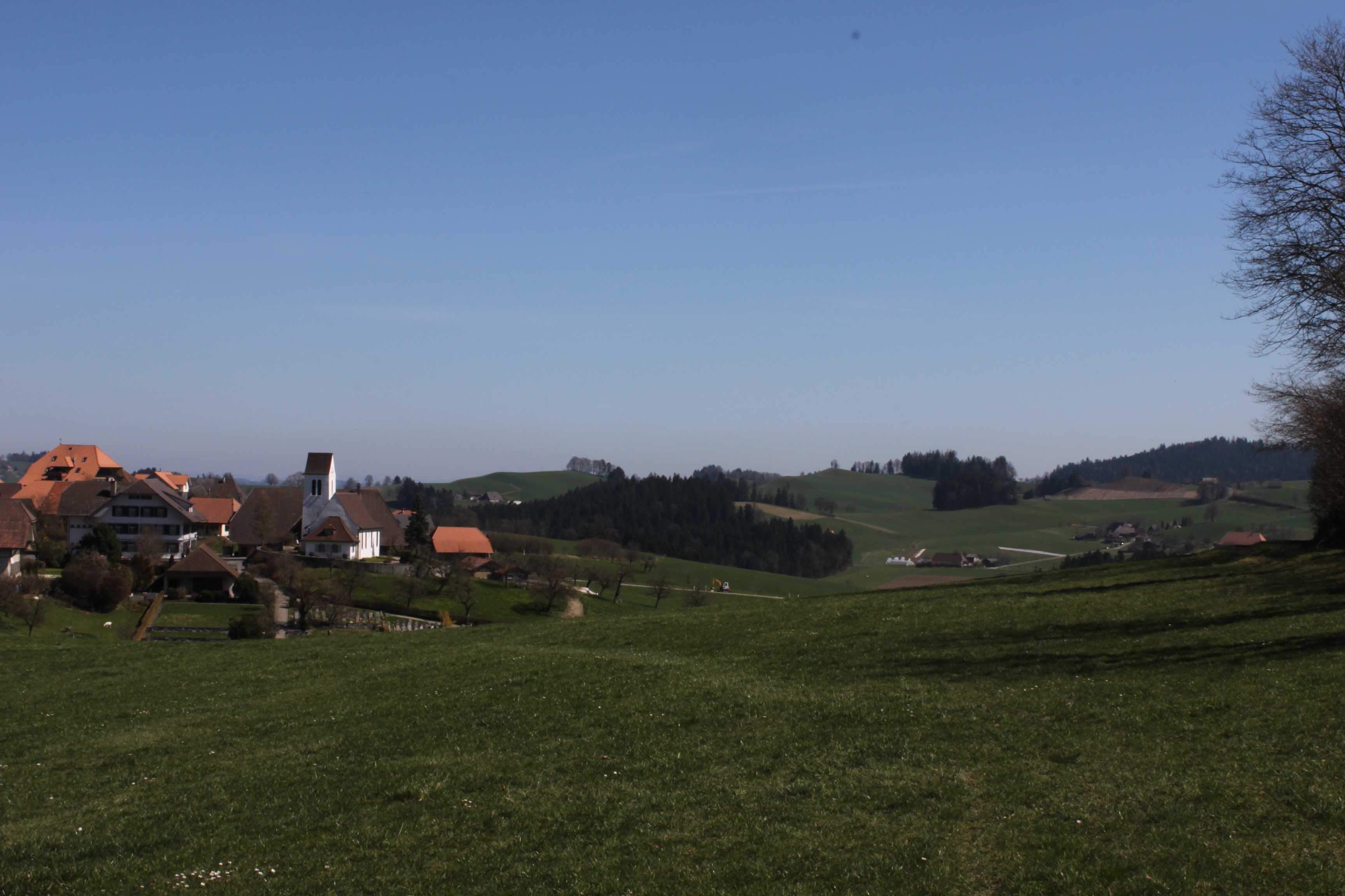 IMG_8647