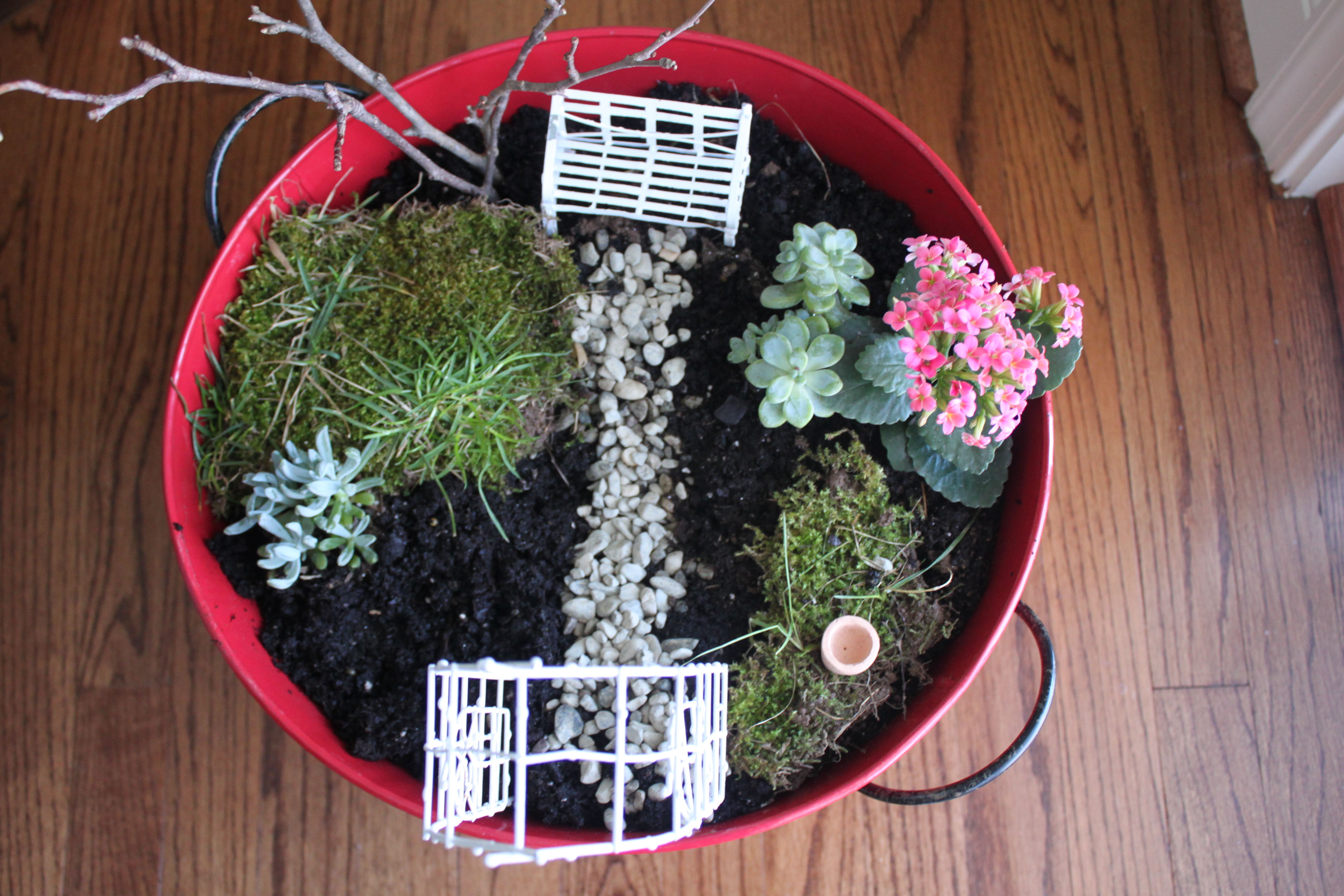 Giveaway Winner And Mini Gardens Seasons Worth Savoring